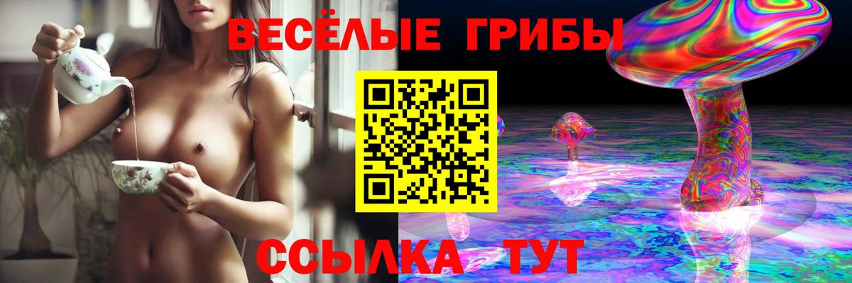 Псилоцибиновые грибы ЛСД  продажа наркотиков  Вход с VPN  Барнаул  Псилоцибиновые грибы Magic Shrooms 
