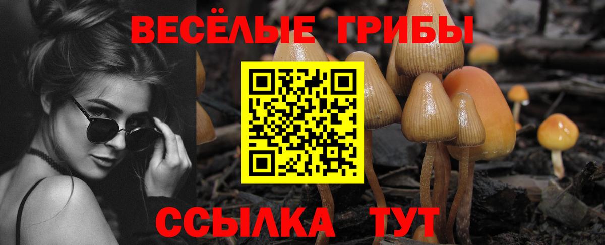 Галлюциногенные грибы Cubensis Барнаул